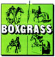 Boxgrass