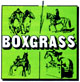 Boxgrass